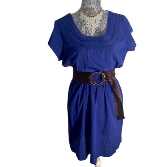 Banana Republic Women’s Blue Short-Sleeved Cinched Waist Dress Size 10 - Picture 4 of 10